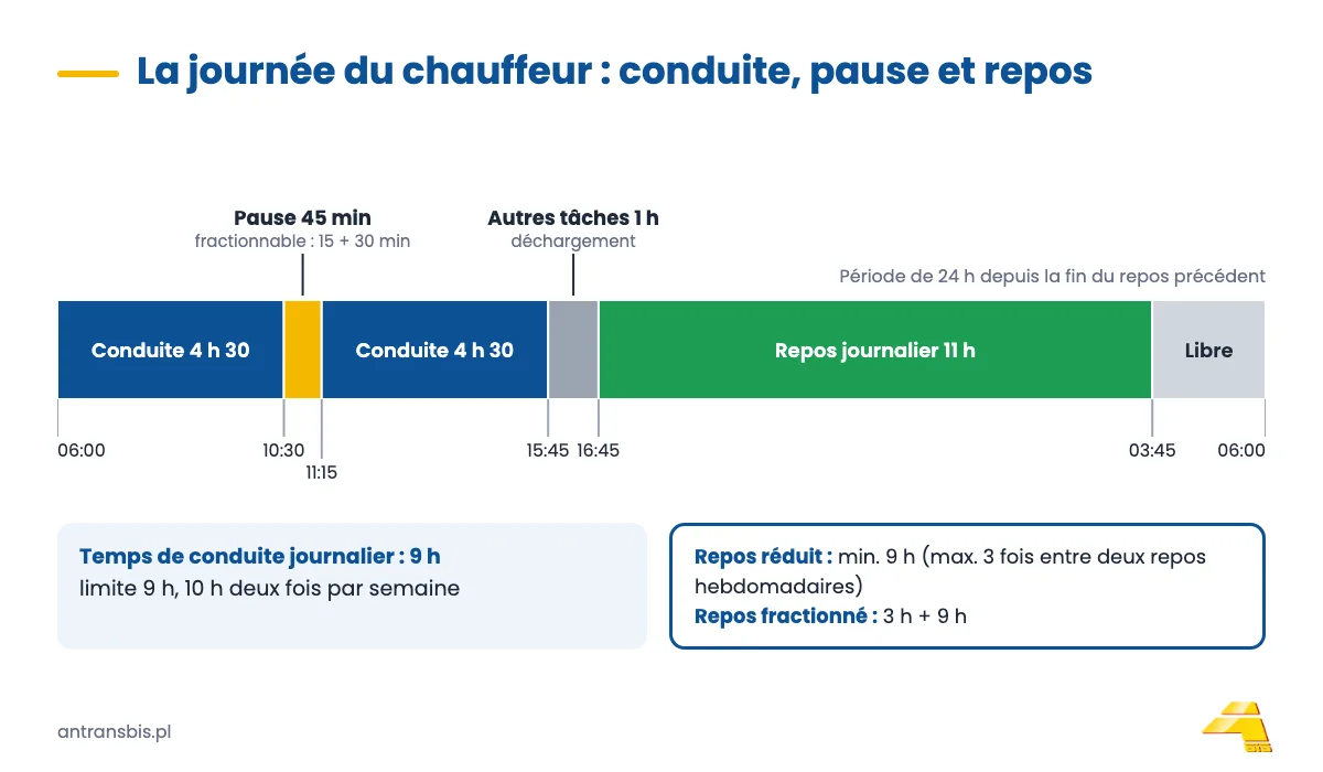 La journée d’un conducteur sur une frise chronologique&nbsp;: 4&nbsp;h&nbsp;30 de conduite, 45 min de pause, 4&nbsp;h&nbsp;30 de conduite, 1 h de déchargement et 11 h de repos journalier