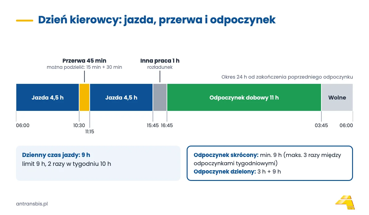 Oś dnia kierowcy: 4,5 h jazdy, 45 min przerwy, 4,5 h jazdy, 1 h rozładunku i 11 h odpoczynku dobowego